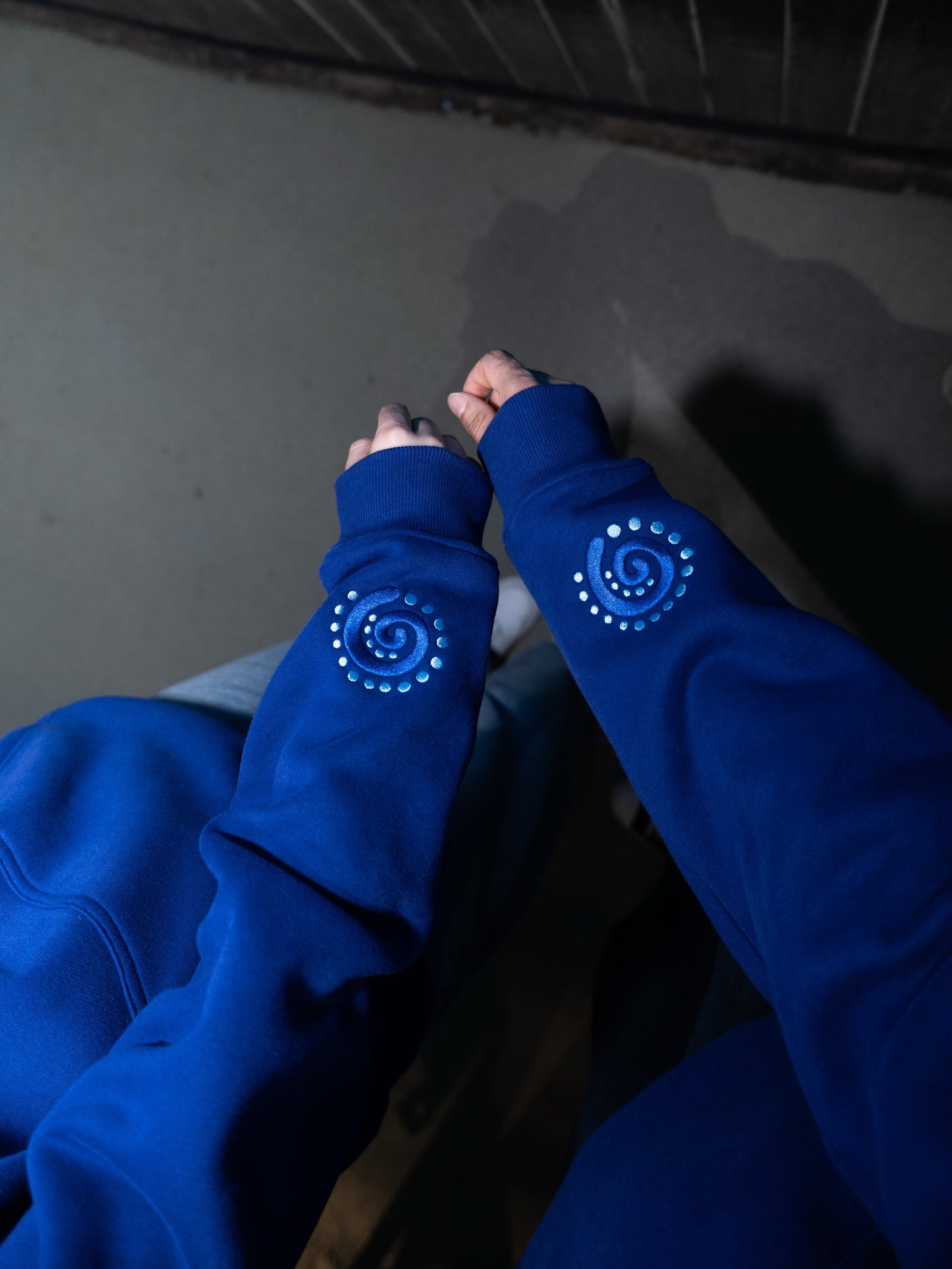 Unisex  /BLUE WORLD /Hoddie